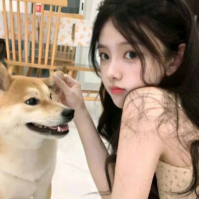 重生之我靠古玩再发家