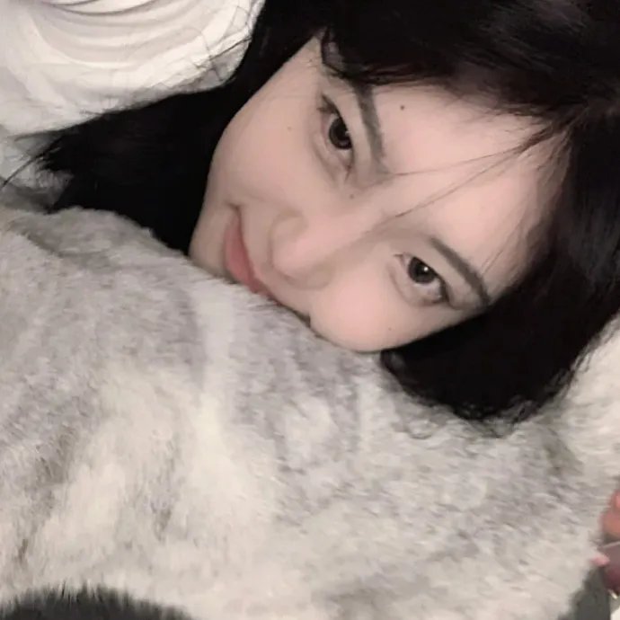 通天大逃犯：汽车大亨戈恩奇案